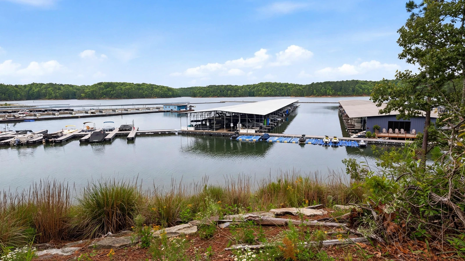 Towne Lake neighborhood in Woodstock, GA